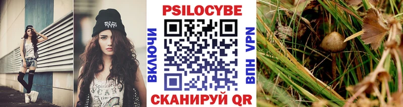 Псилоцибиновые грибы GOLDEN TEACHER  где купить наркотик  Колпашево 